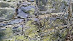 acastle 105655.jpg